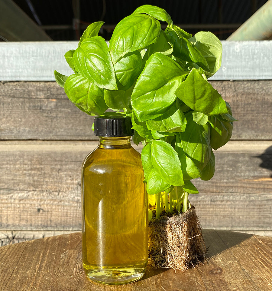 Bounty & Full Oil and Salt Bundle (Basil)