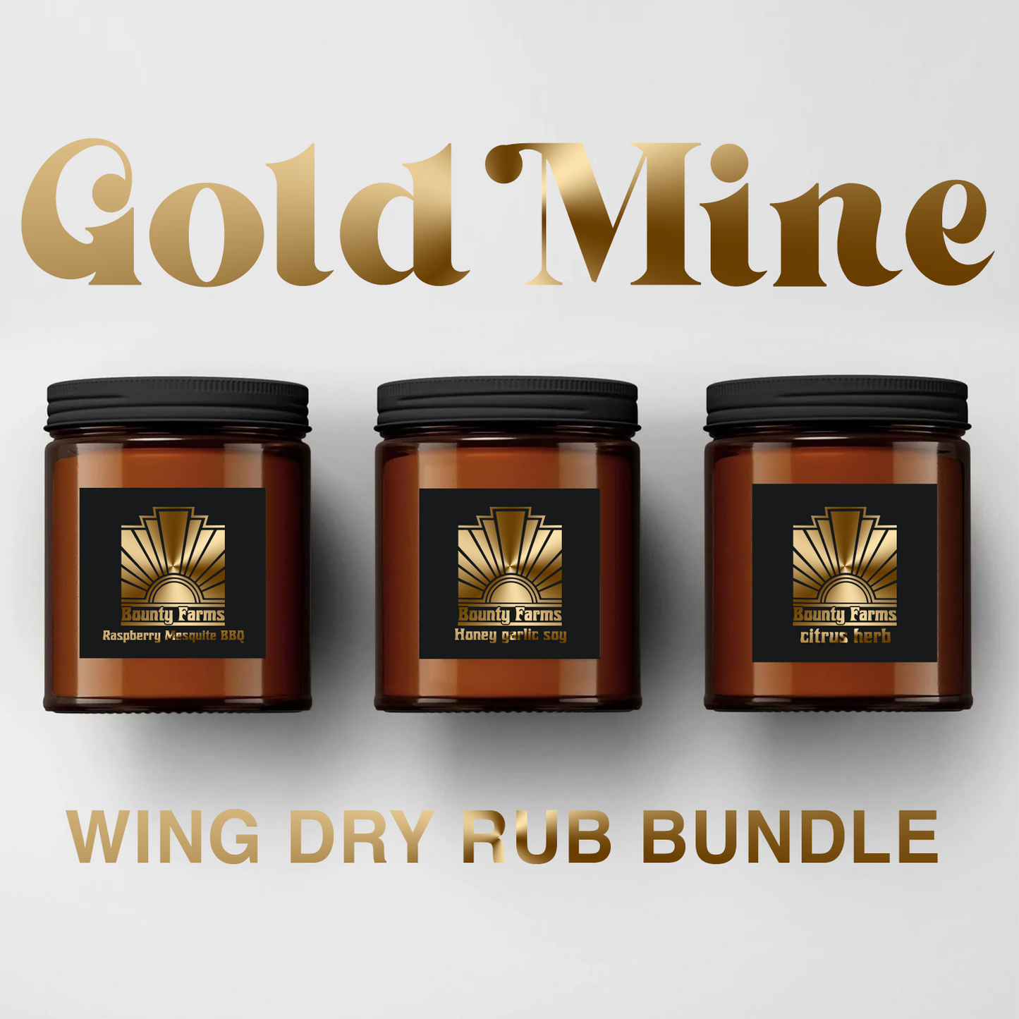 GOLD MINE Wing Rub Box ( essential dry rubs)
